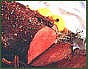 Tenderloin Roasts
Chateaubriand